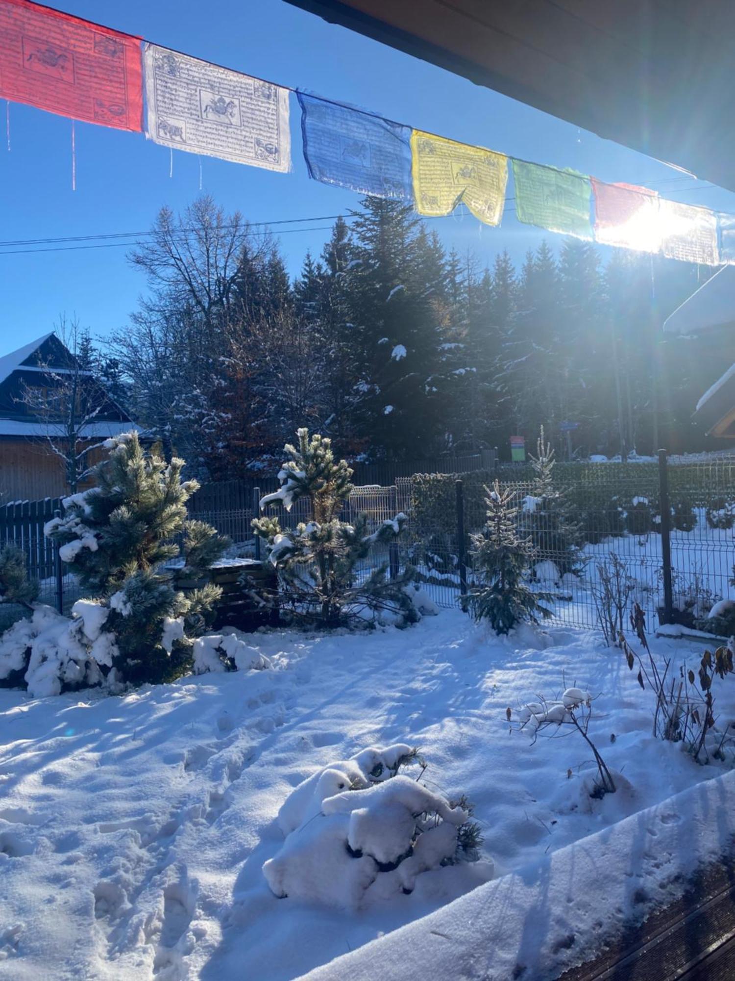 Punkt Koscielisko, Dom Gorski 800 M Od Doliny Koscieliskiej Dış mekan fotoğraf